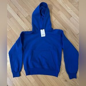 Aritzia Cozy Sweatfleece Perfect Hoodie, Jazz Blue